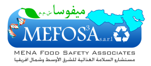 MEFOSA S.A.R.L logo